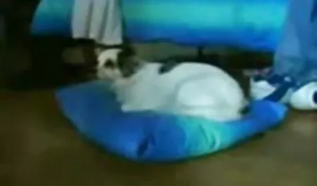 شقراء قصص سكس ونيك مصري