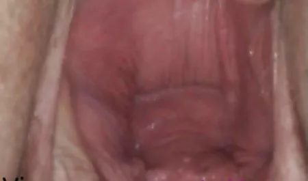5 مجموعة افلام سكس مصريه محارم من الناس