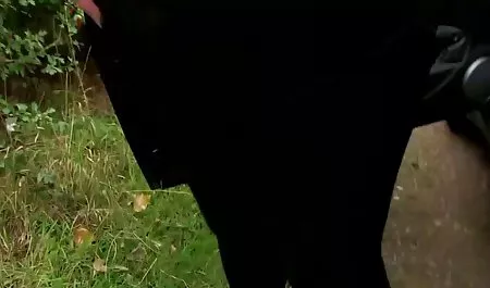 امرأة مع مروحة امهات سكس مصري