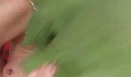 يجرؤ الجنس محارم مصري حقيقي الهواة الدهون الديك في فمها com